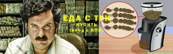 стаф Медногорск