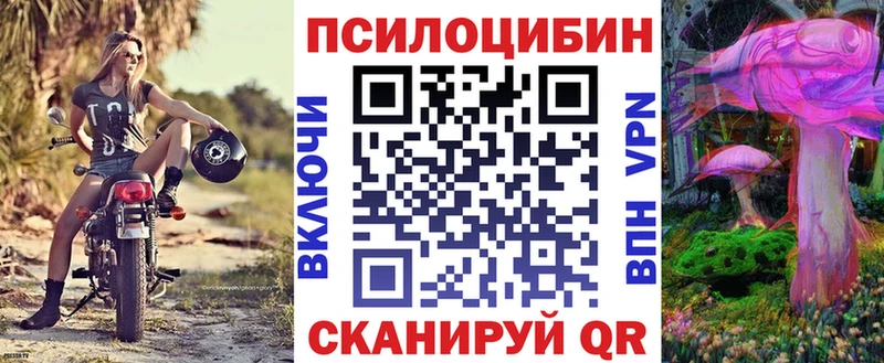 Псилоцибиновые грибы MAGIC MUSHROOMS  как найти наркотики  Новочебоксарск 