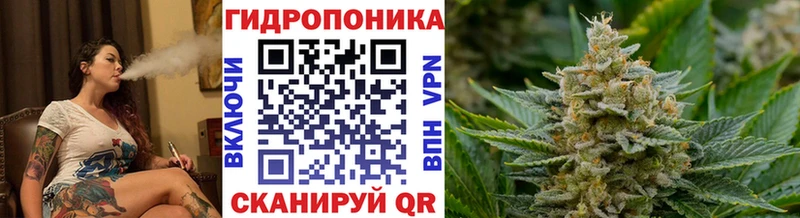 цена наркотик  Новочебоксарск  Канабис MAZAR 